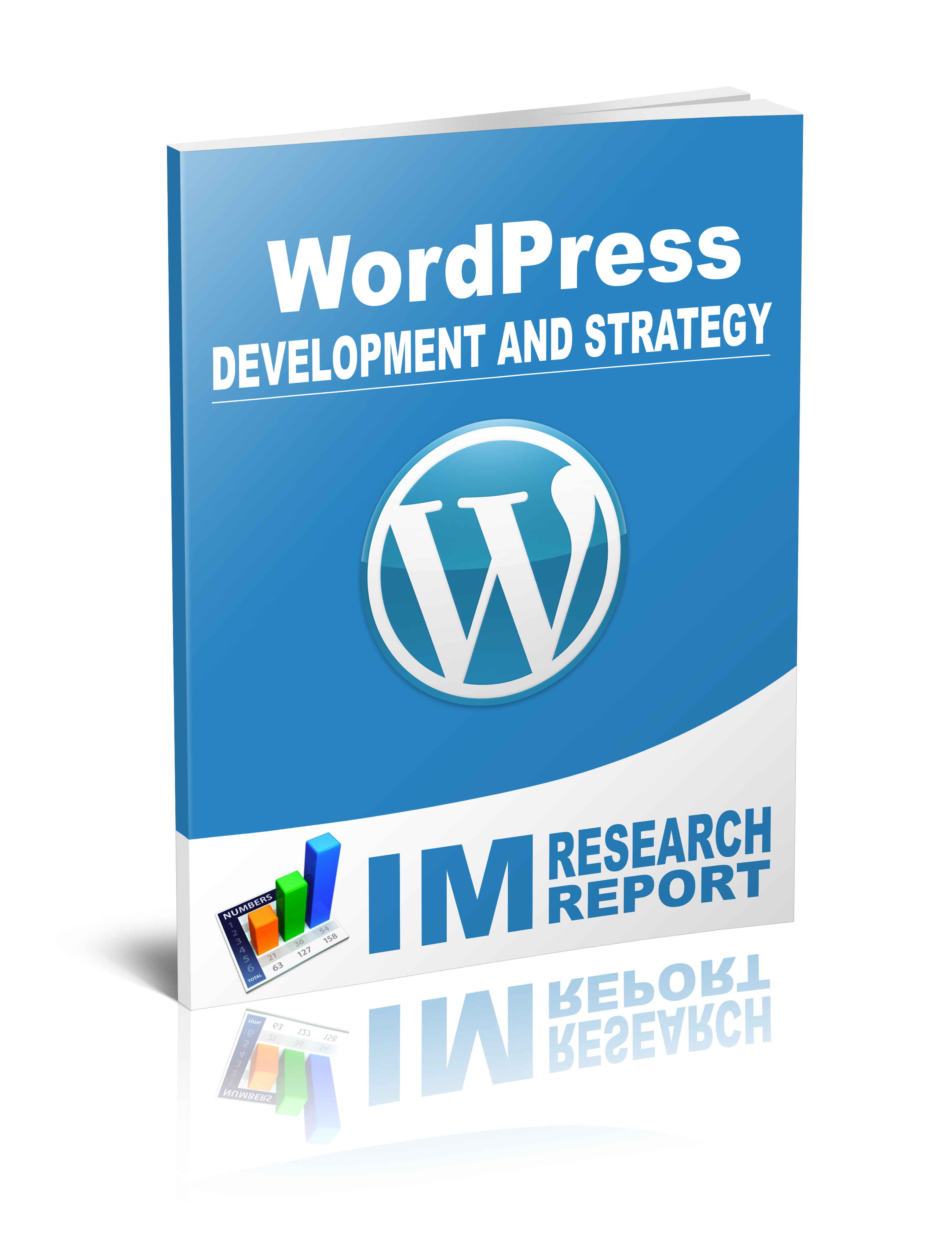 WordPress Report Development And Strategy